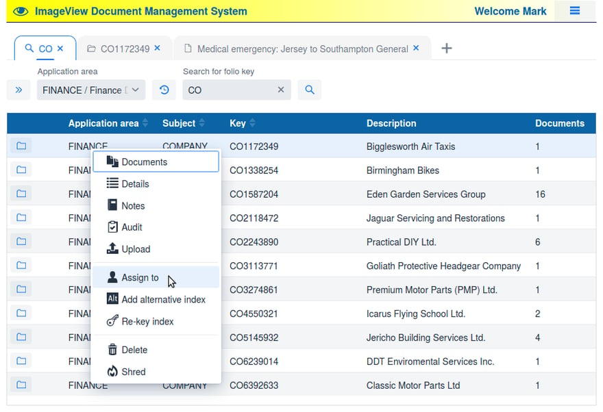 ImageView web client interface