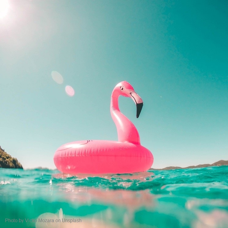 Pink Flamingo on the water